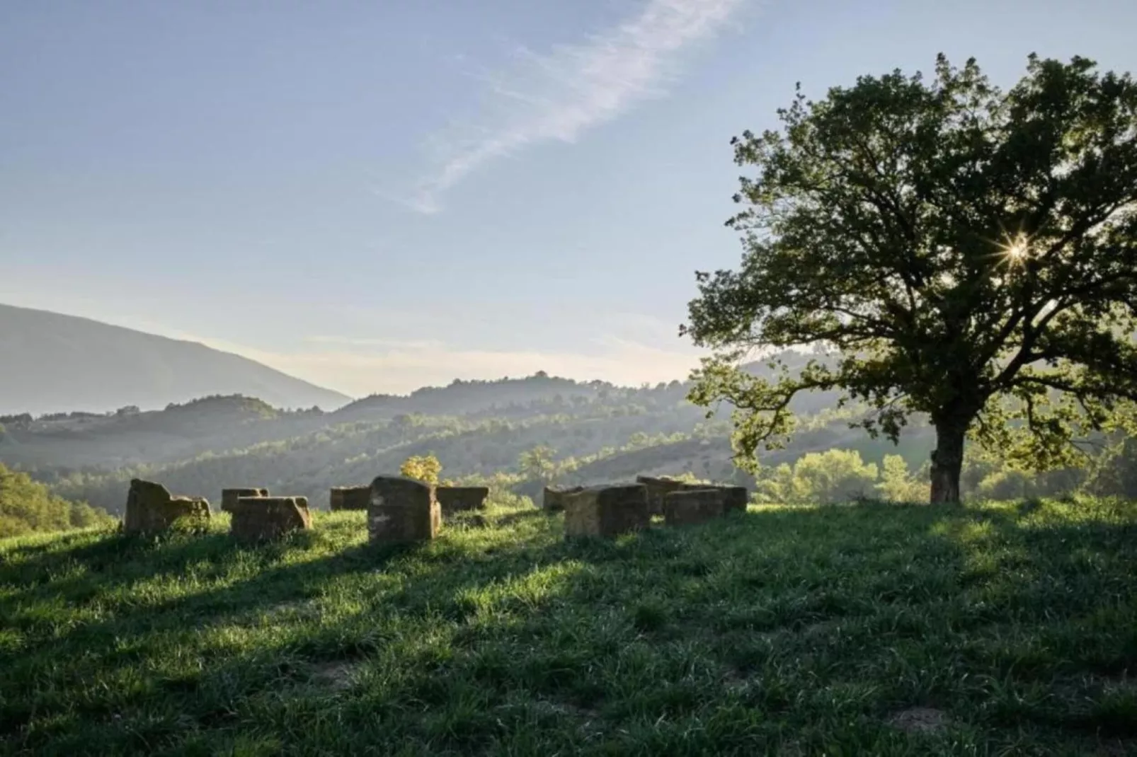 Frantoio 2-Areas within 5km in summer