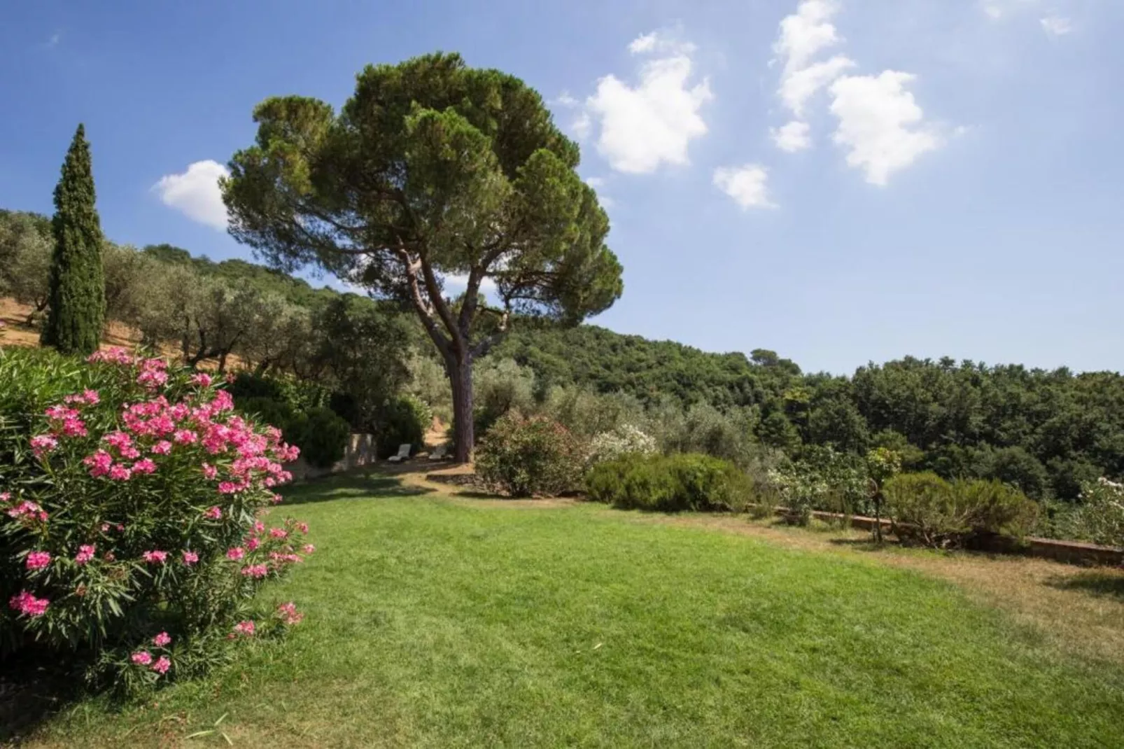 Landman Apartment-Areas within 20km in summer
