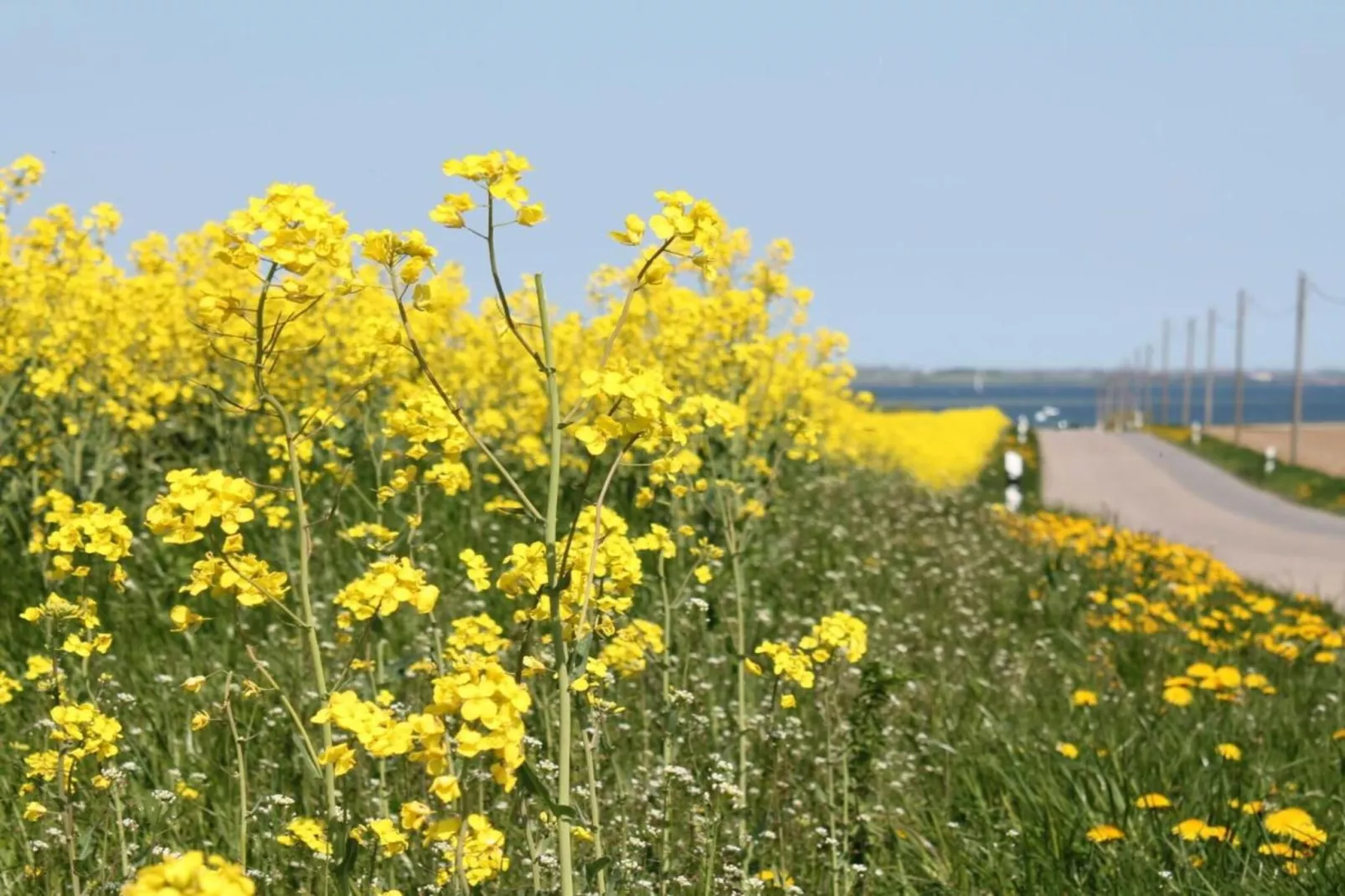 Ferien an der Ostsee-Gebiete Sommer 20 km