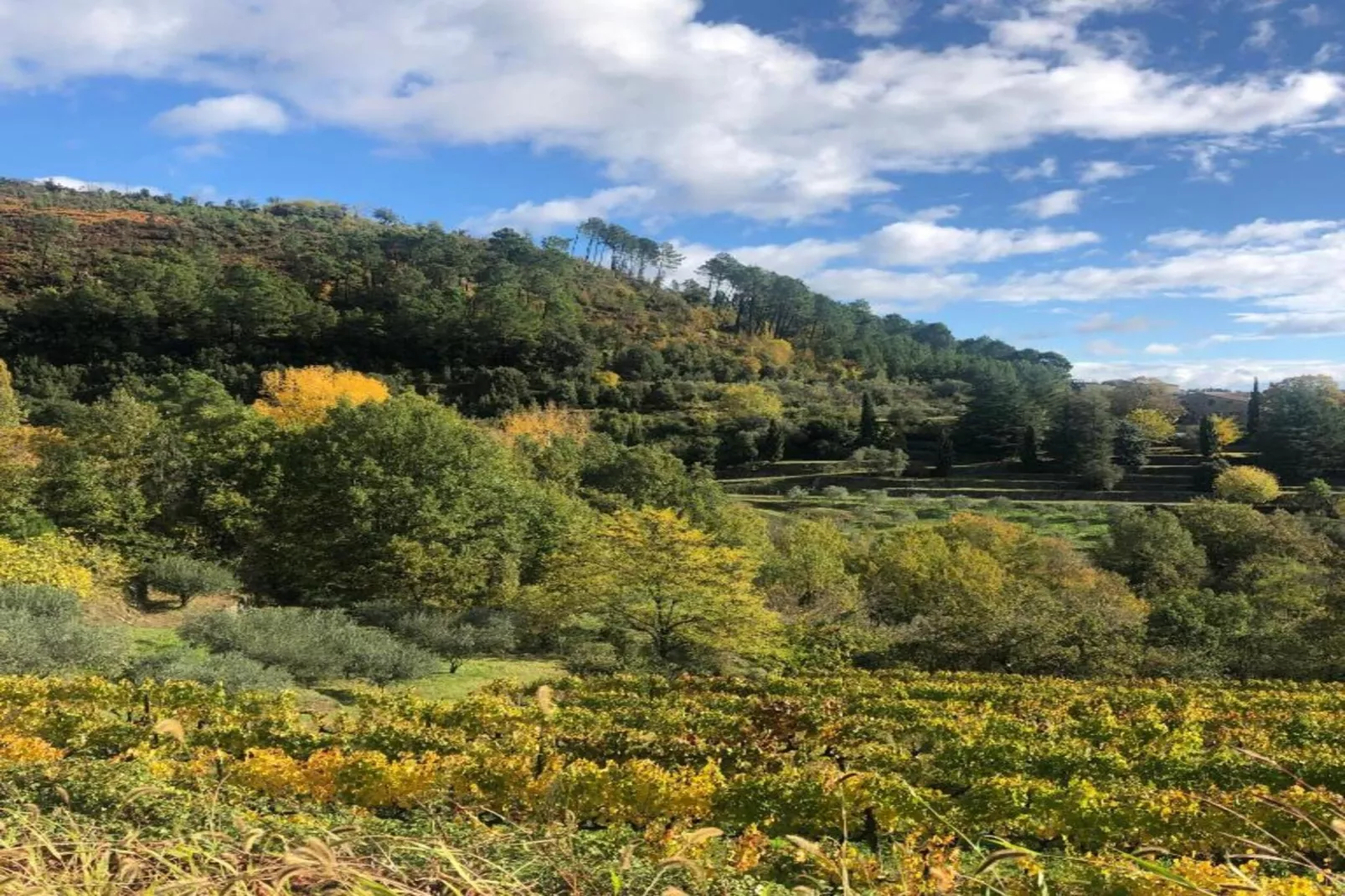 LA BOSCALIERE/ CHABROUD-Zones été à 20 km