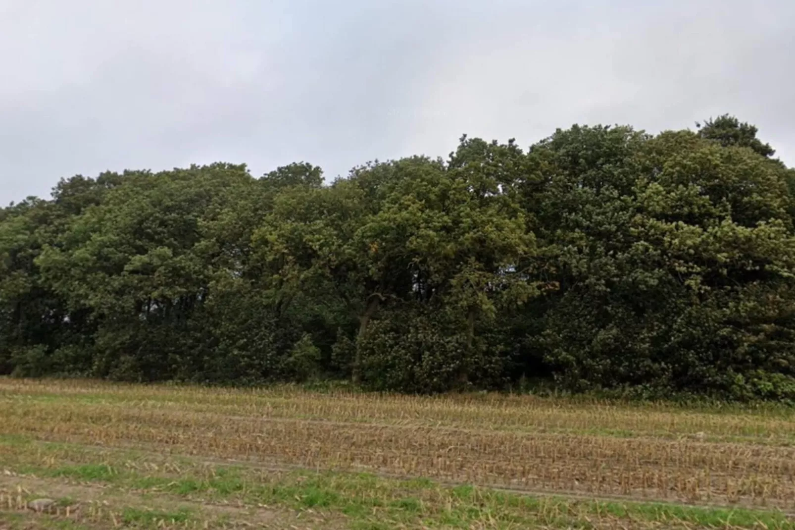 6 person holiday home in Hovborg-By Traum