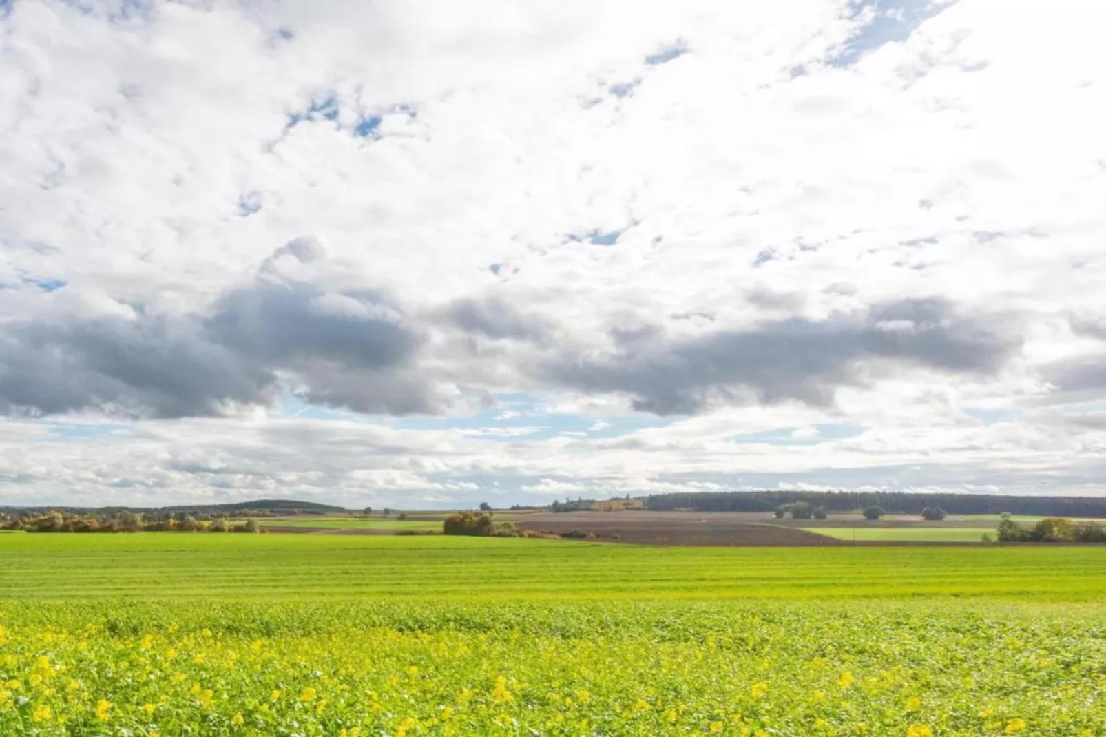 Ferienwohnung Haunsheim - rechts & links-Areas summer 20km
