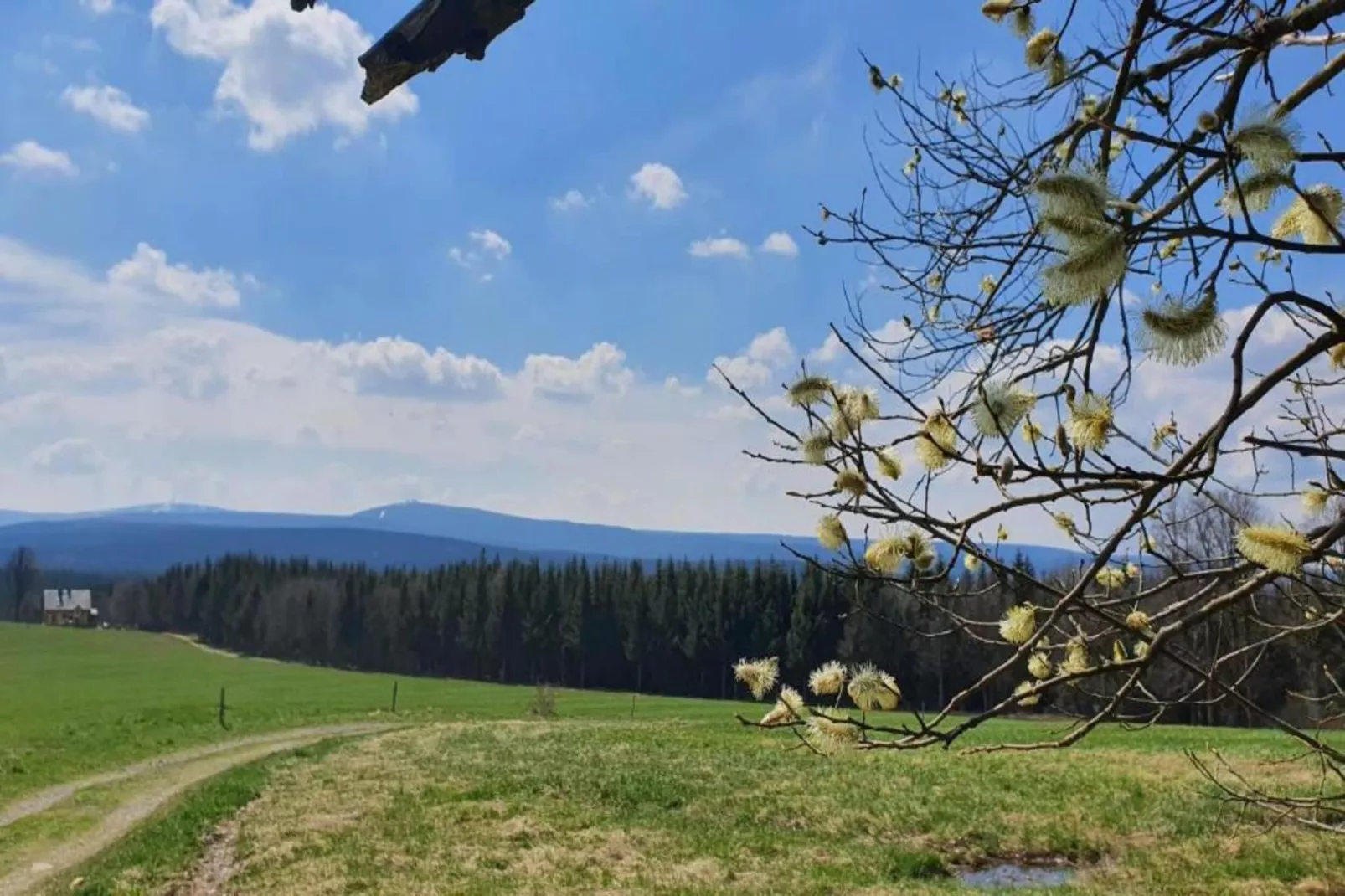 Gruppenferienhaus nähe Kurort Oberwiesenthal-Gebiete Sommer 20 km