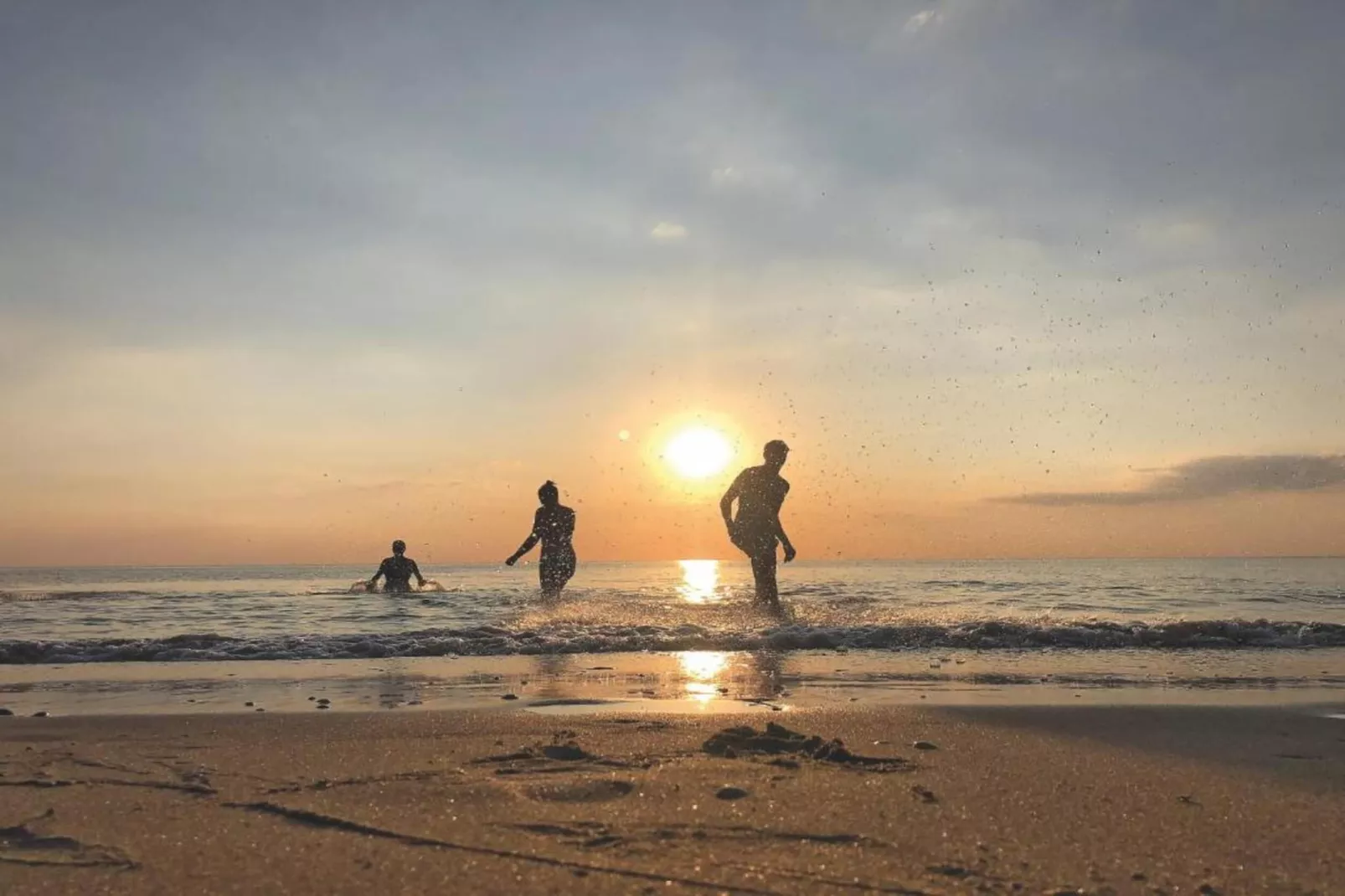 Duinresort Dunimar 3-Areas within 20km in summer
