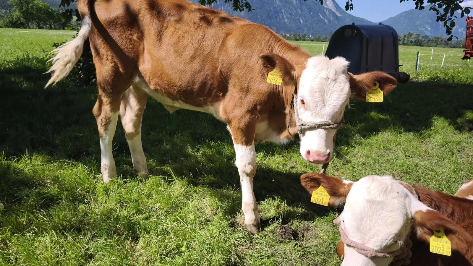 Schleicherhof I-équipements