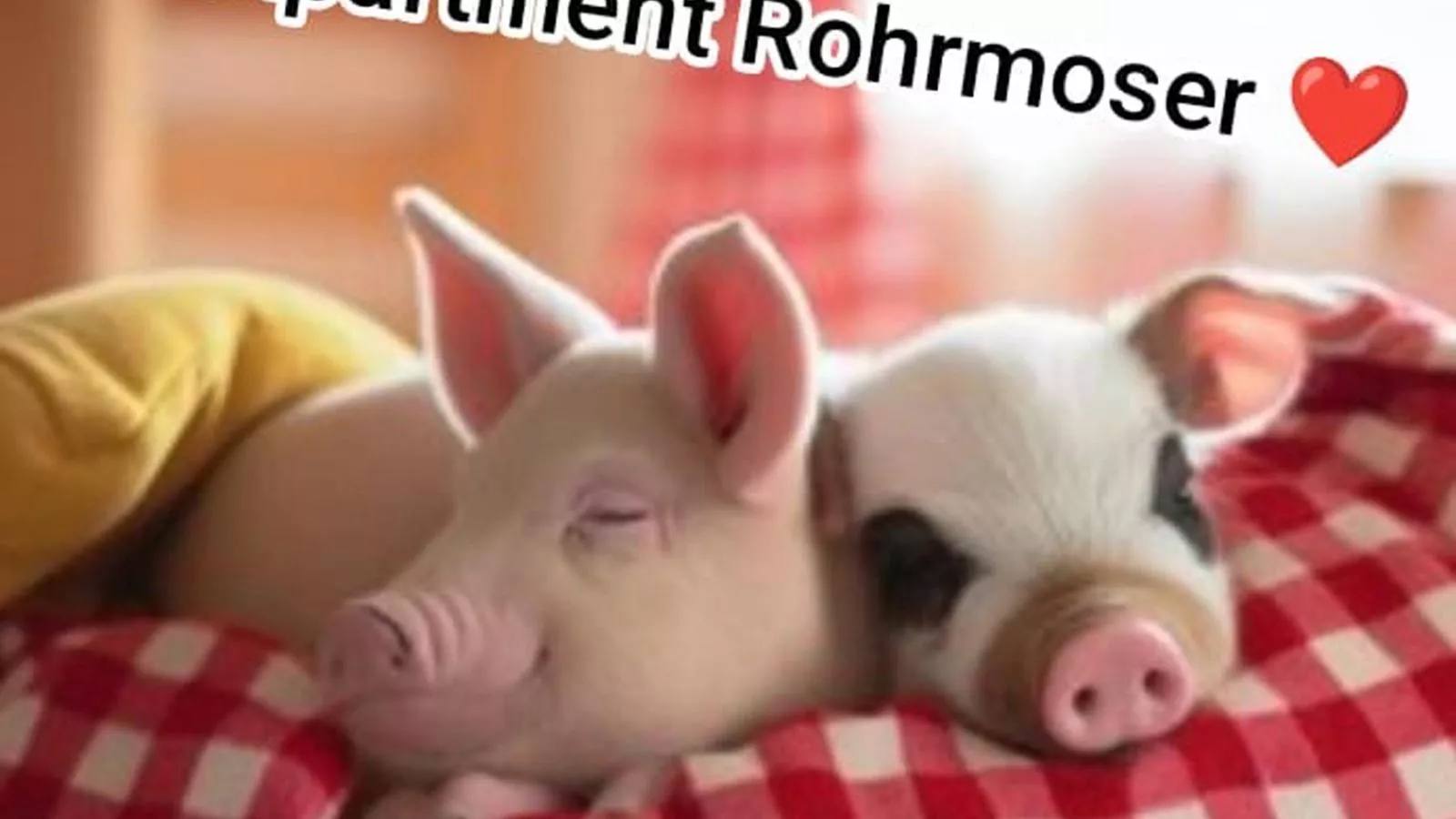 Apartment Rohrmoser-Ambiance