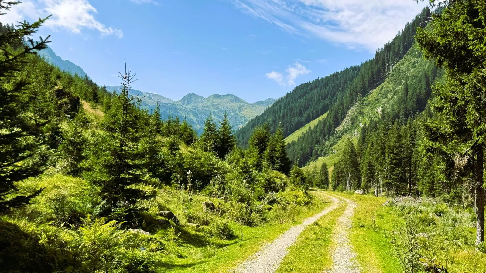 Alpenjoy Lodge-Areas within 5km in summer