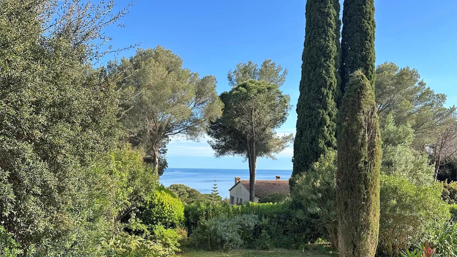 Loumic-View in summer