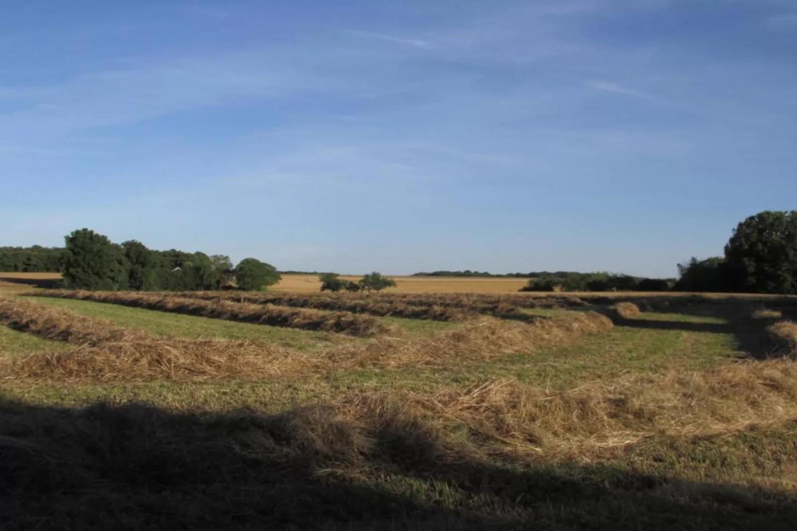 La Campagne-Gebiete Sommer 5 km