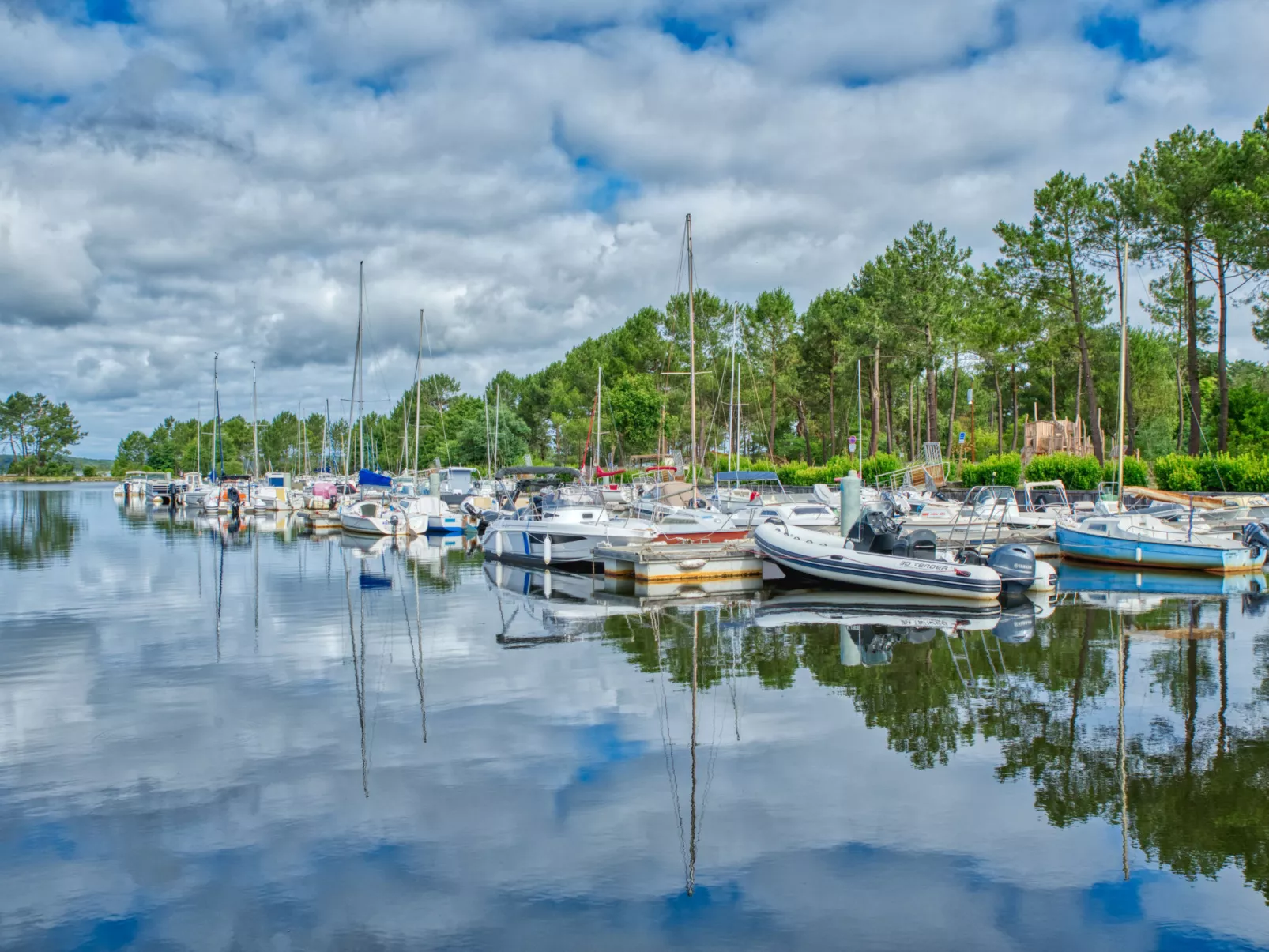 Les Pins-Environnement
