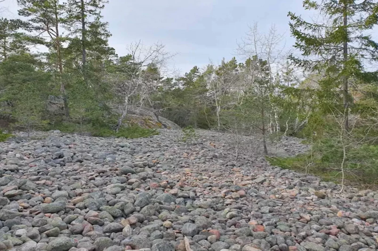 7 person holiday home in GRISSLEHAMN-By Traum-Untagged