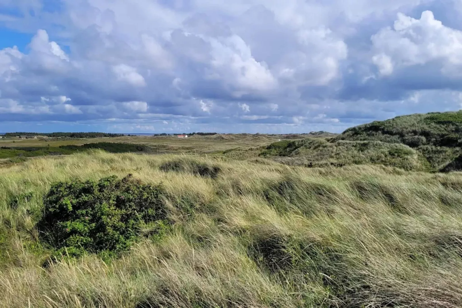 6 person holiday home in Hvide Sande-By Traum