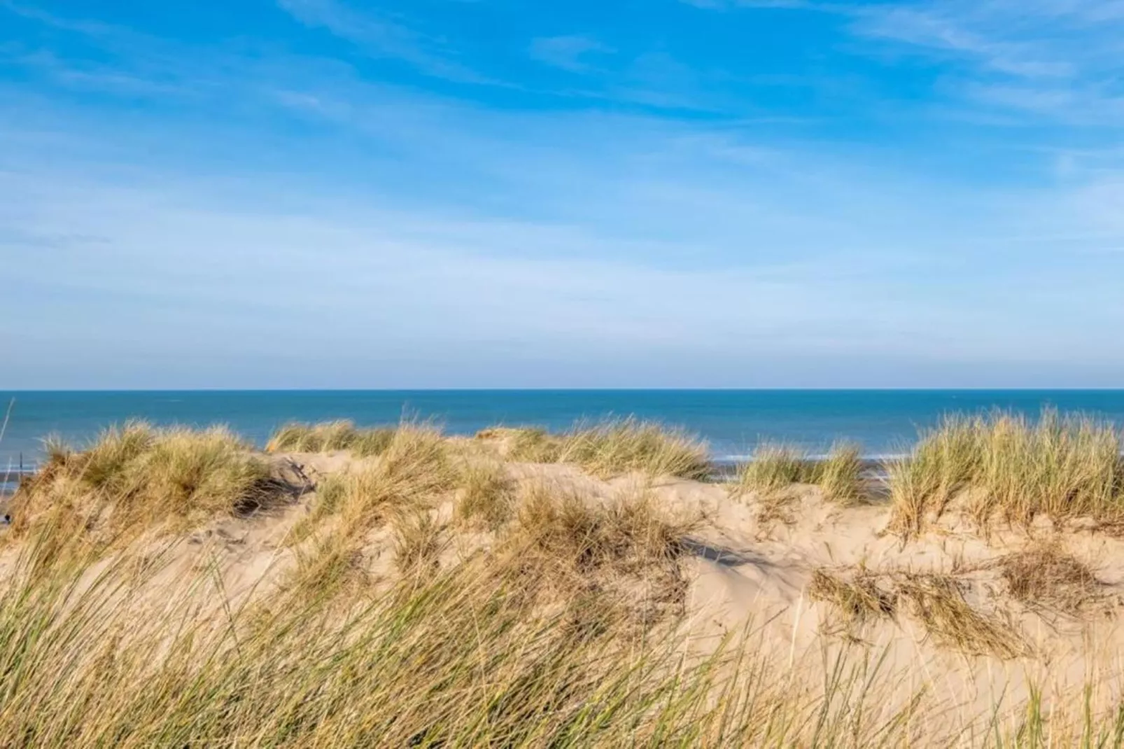 Seahouse 102-Areas within 1km in summer