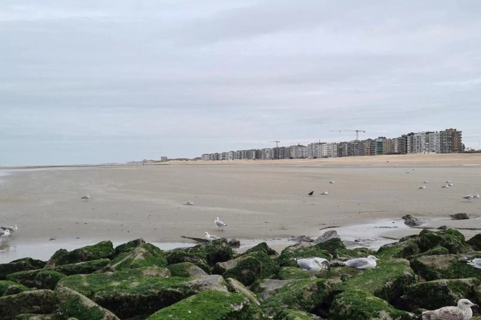 Les Vagues 201G20