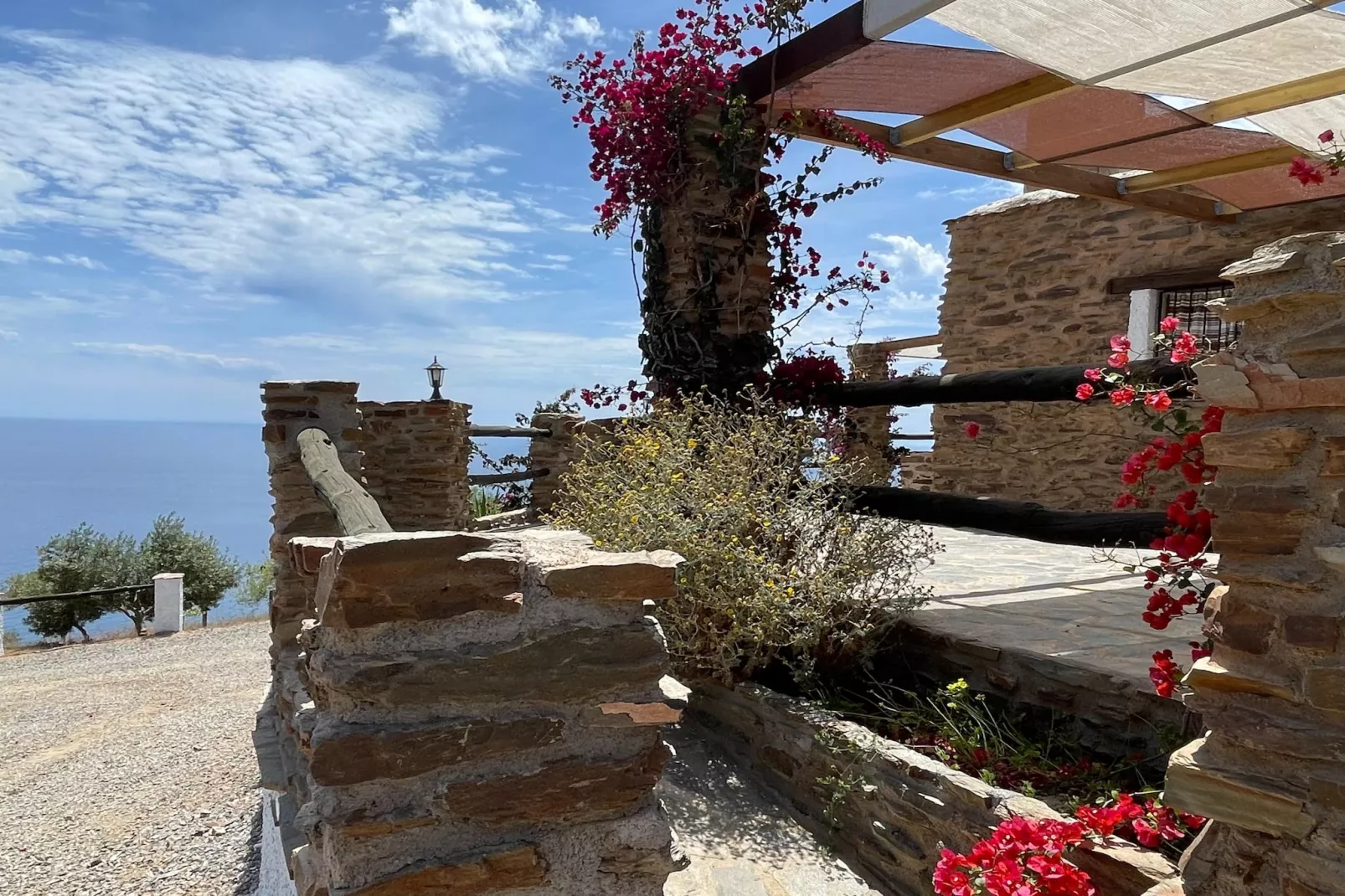 La Suerte Dalia-Exterior in summer