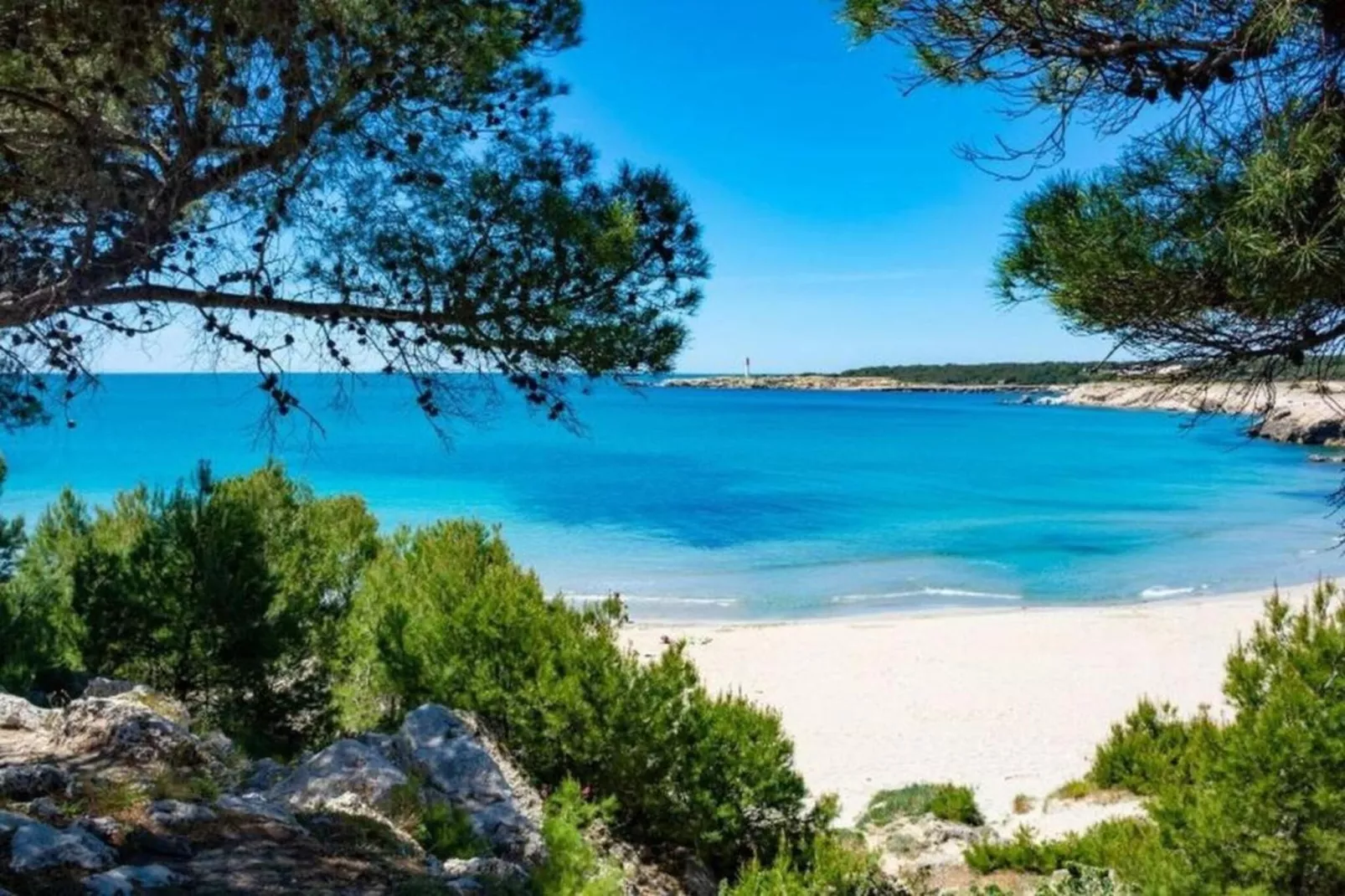 APPARTEMENT VUE SUR LE PORT-Zones été à 20 km