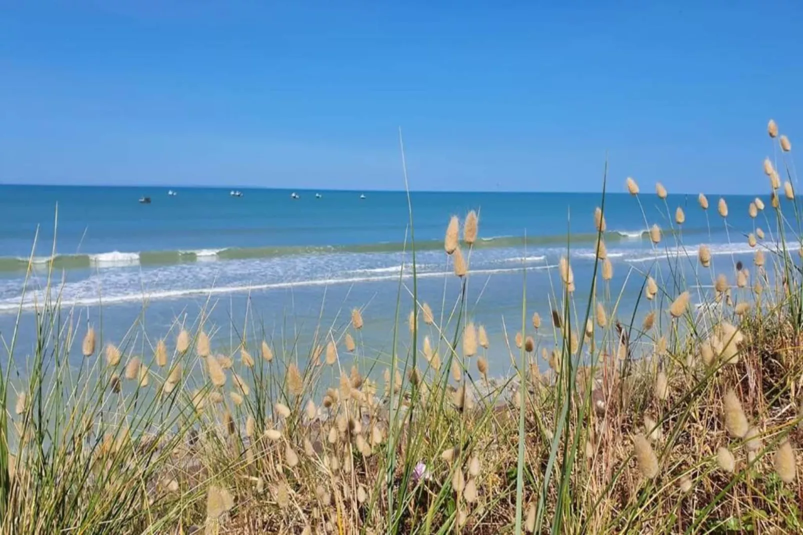 Maison près de la Plage Normande-Areas within 5km in summer