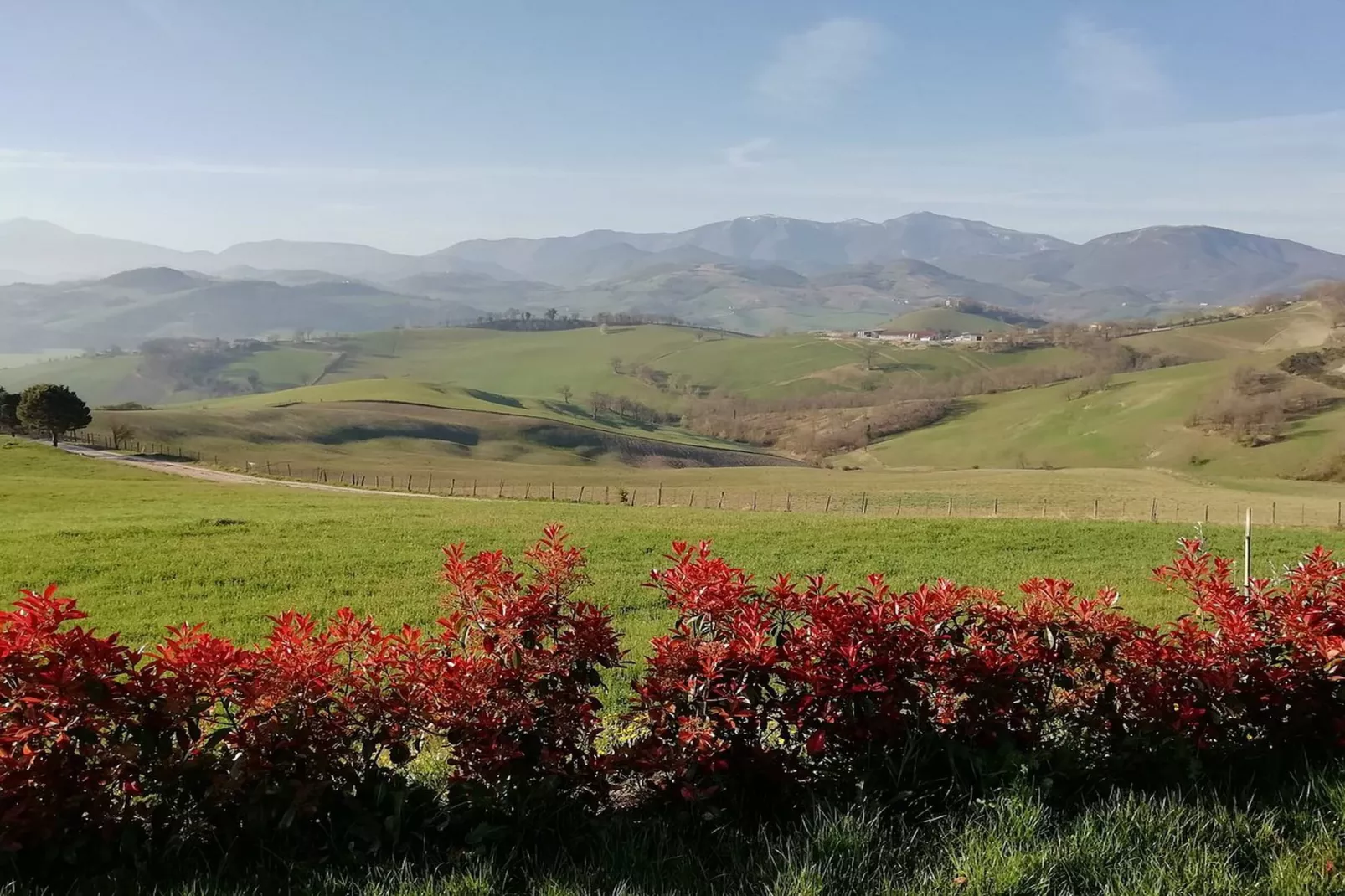 Piano Giardino-Areas within 20km in summer