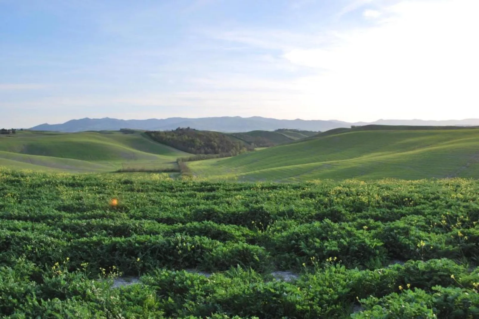 Villa Celli Otto-Areas within 5km in summer