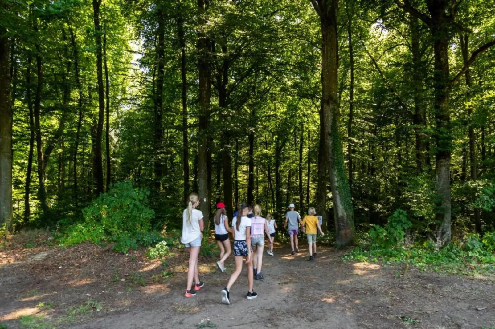 Resort Auf Kengert 1-Areas within 5km in summer