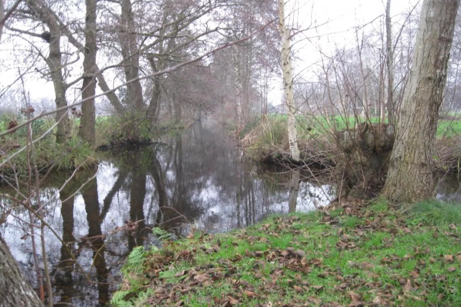 Chalet Resort Venetie Giethoorn-Areas within 20km in summer