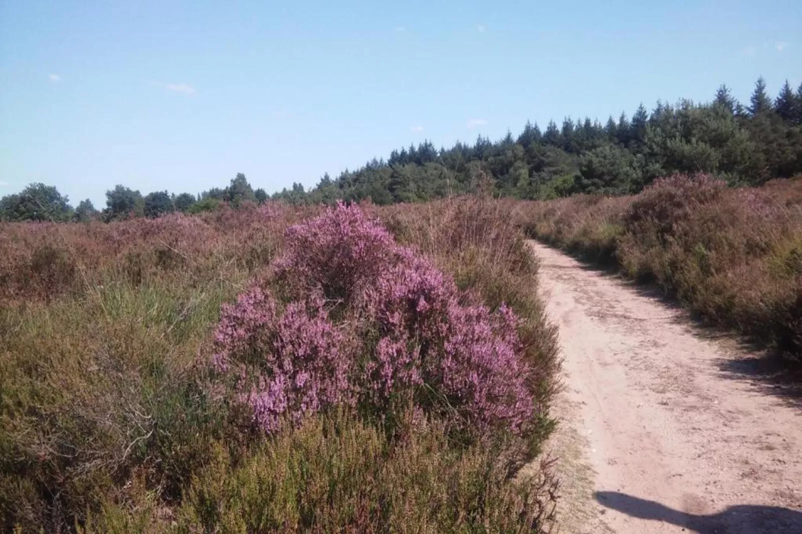 Landgoed De IJsvogel 12-Zones été à 20 km