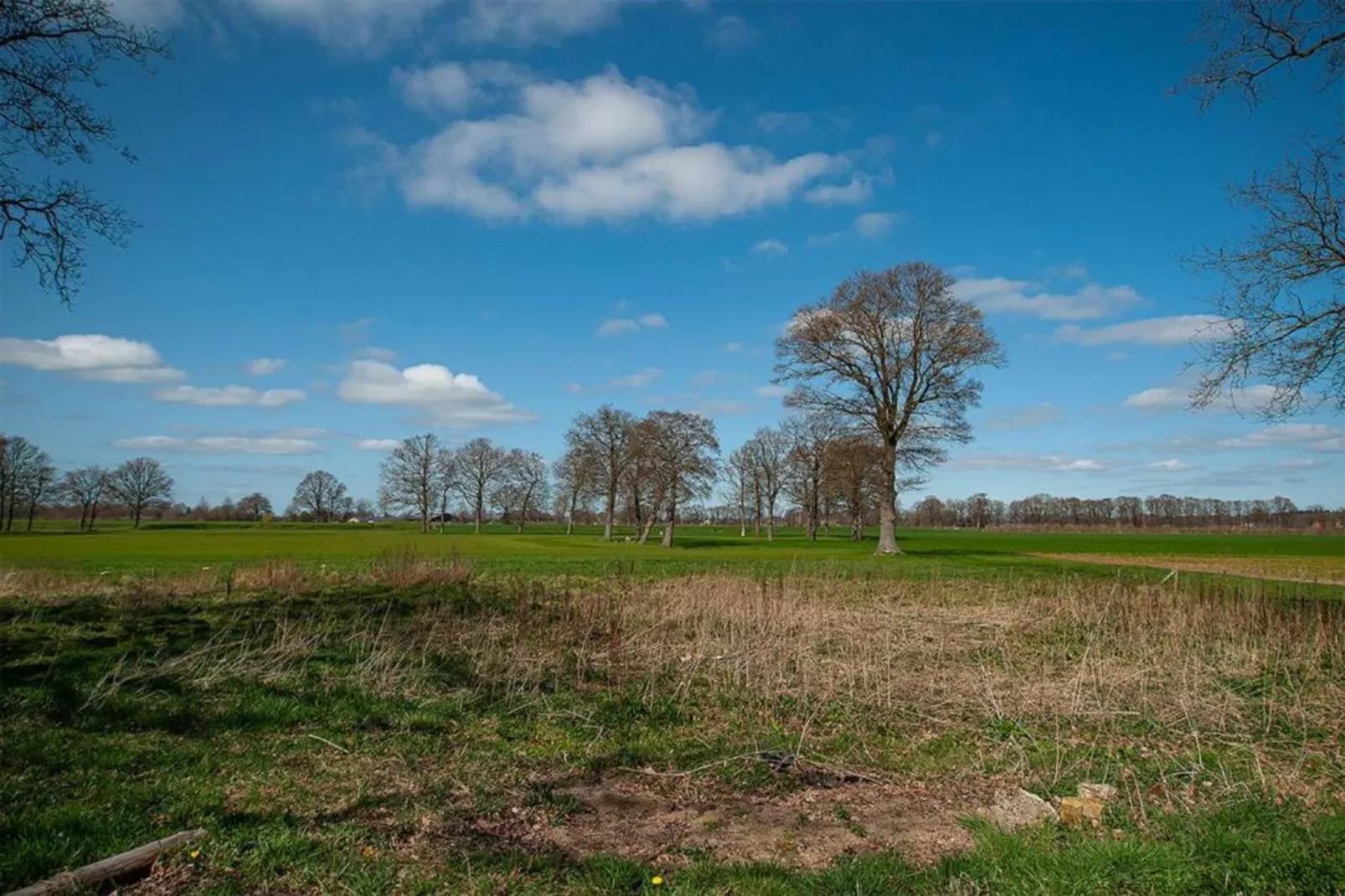 Vakantiewoning de Zwaluw-Areas within 20km in summer