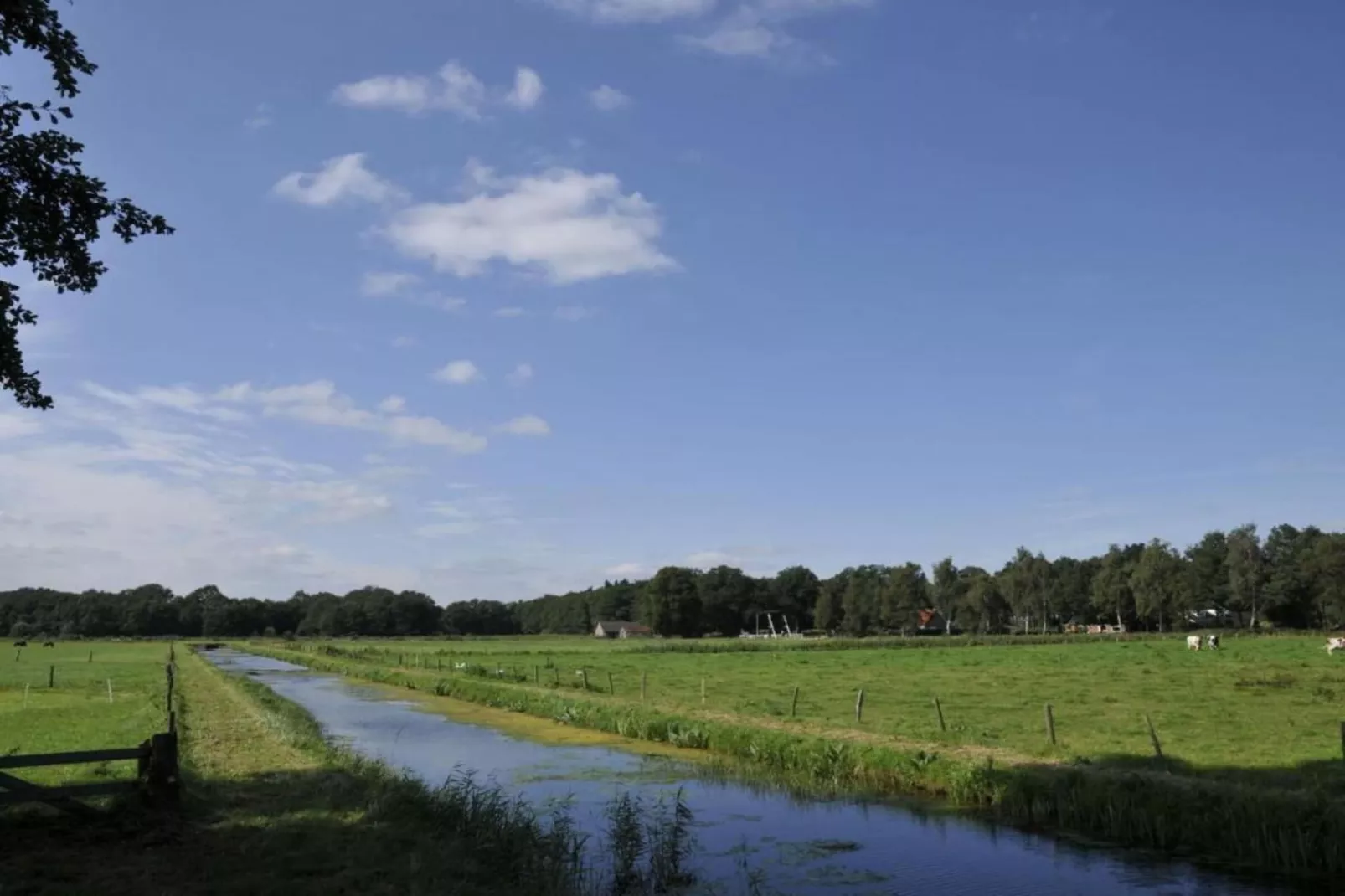 Koe in de Kost 3-Zones été à 1 km