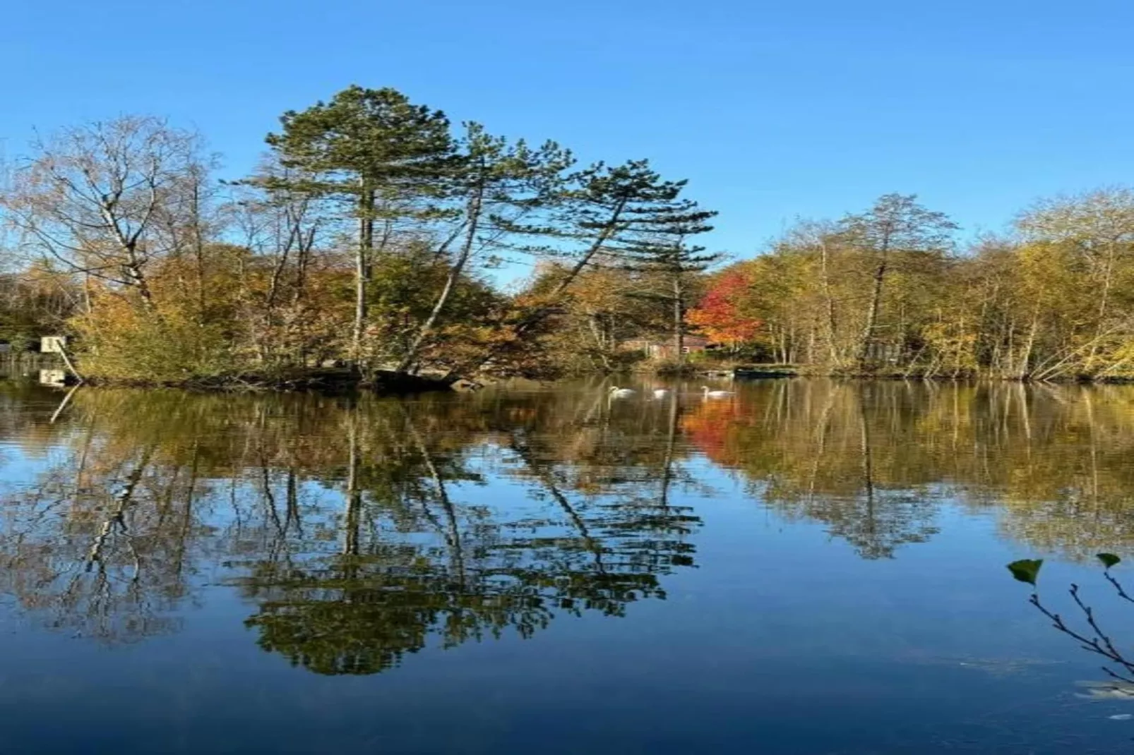 Boshuisje De Koolmees-Areas within 20km in summer