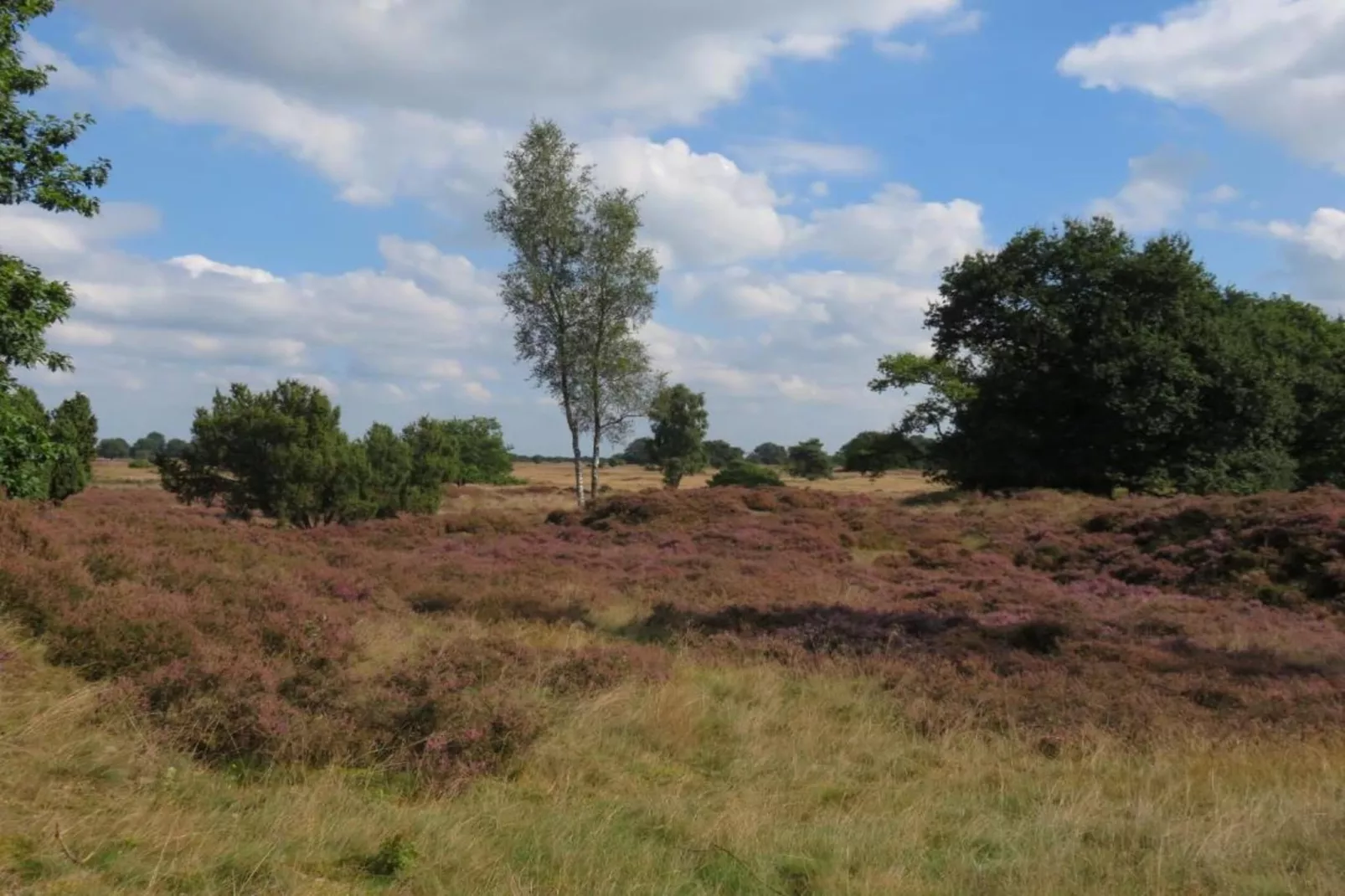 Vakantiepark Hunzedal 19-Areas within 20km in summer