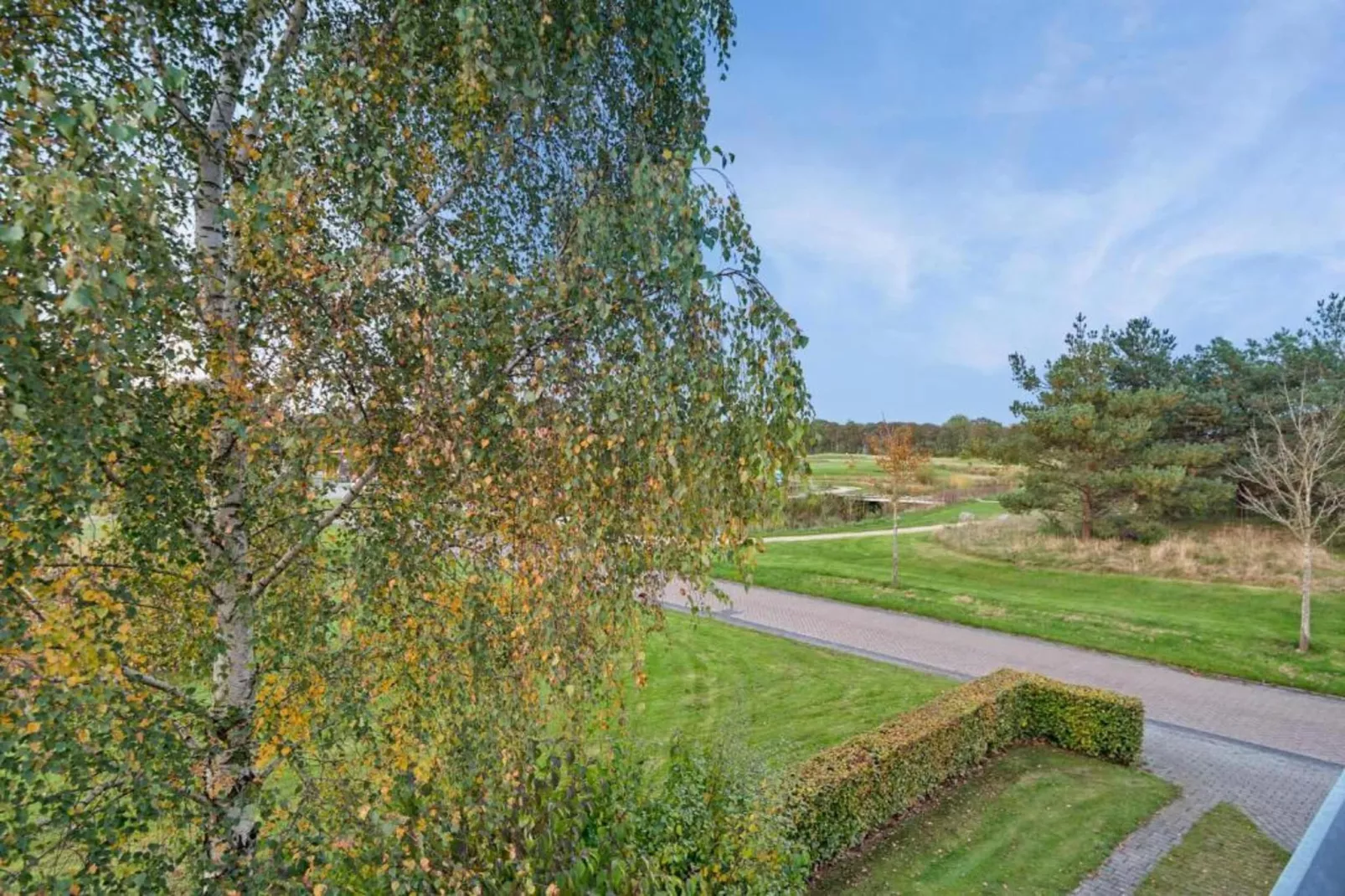 Resort Drentse Weelde 1