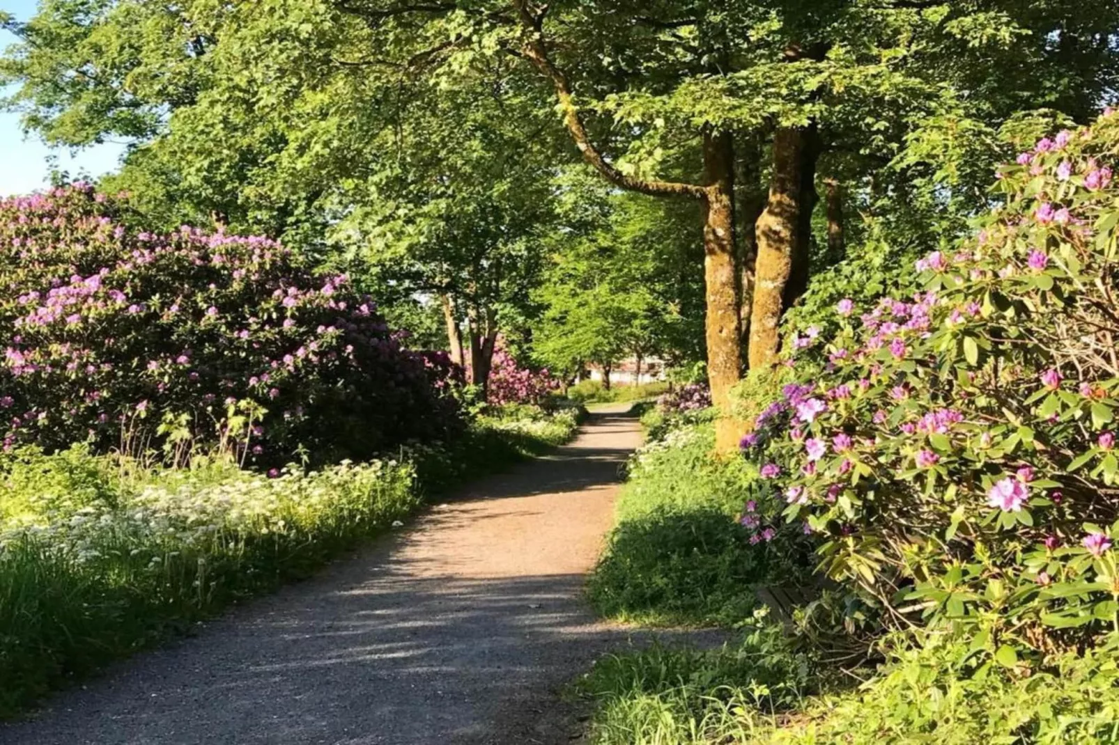 Ferienwohnung Bockwiese-Hahnenklee-Areas within 20km in summer