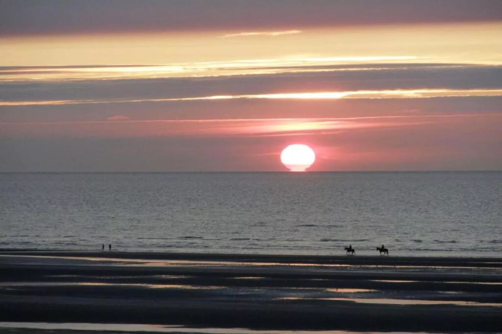 WESTDIEP/WEST31-Areas within 5km in summer