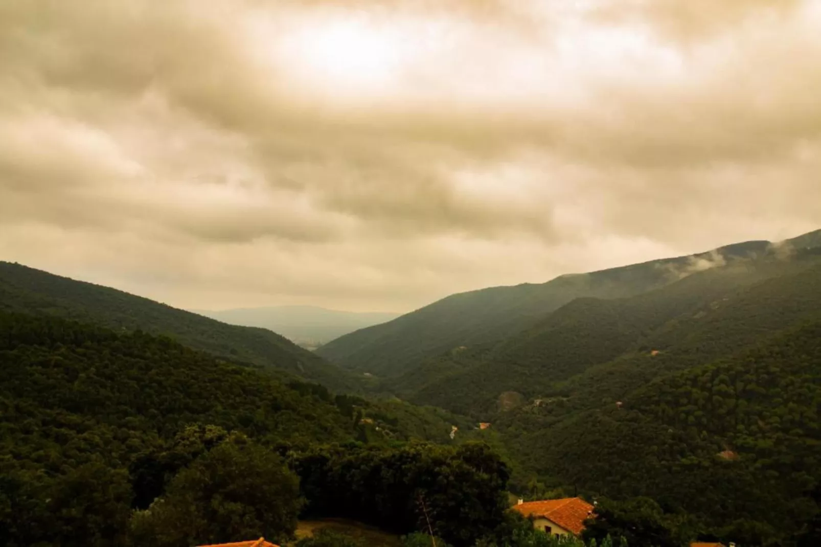 El Magraner-Areas within 5km in summer
