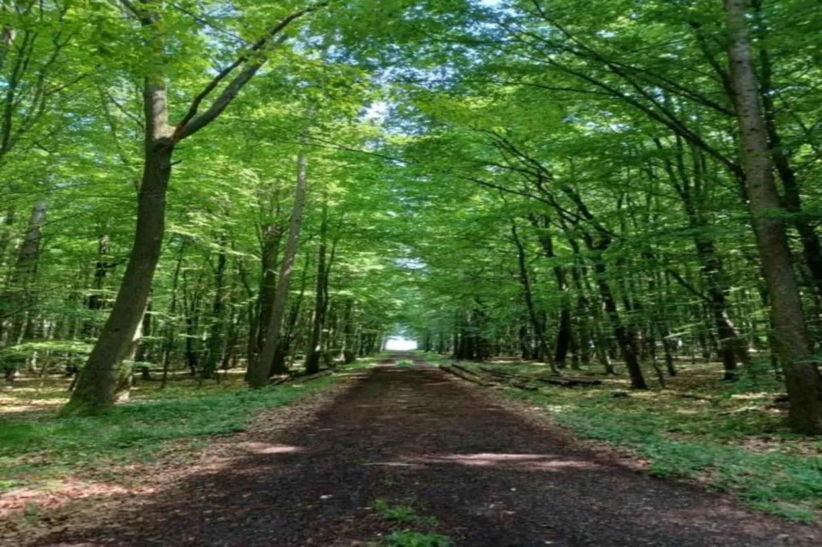 Ferienwohnung Gisela-Zones été à 20 km