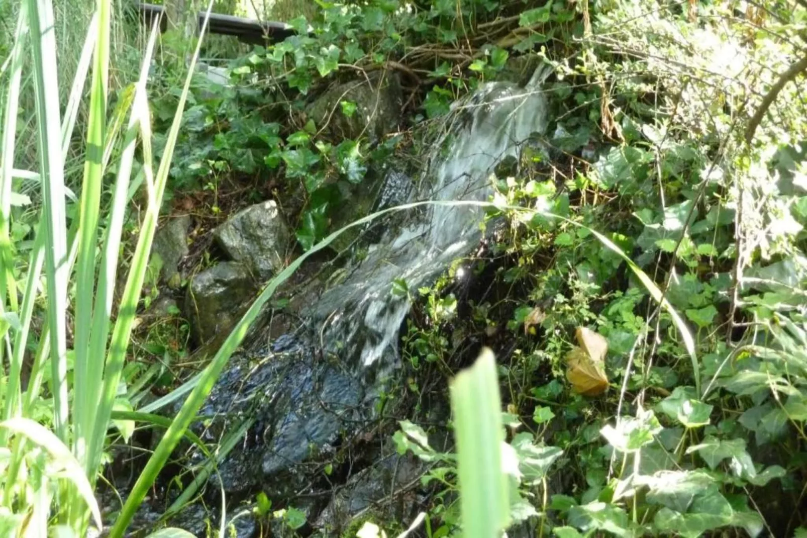 Verblijfpark Breebos 4-Zones été à 20 km