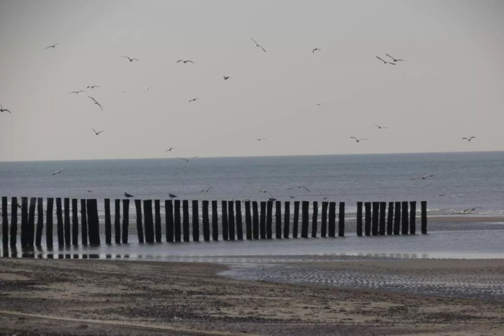 Vakantiewoning - Horizon 14  Renesse-Gebiete Sommer 20 km