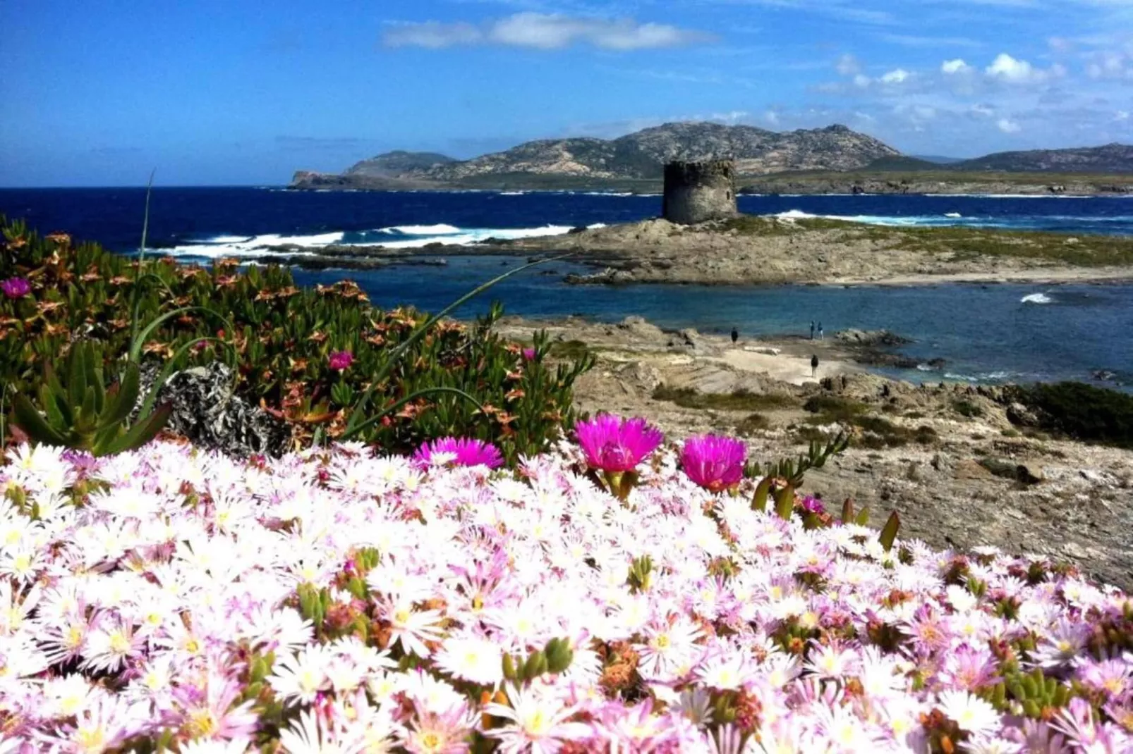 Villa la Fata-Areas within 20km in summer