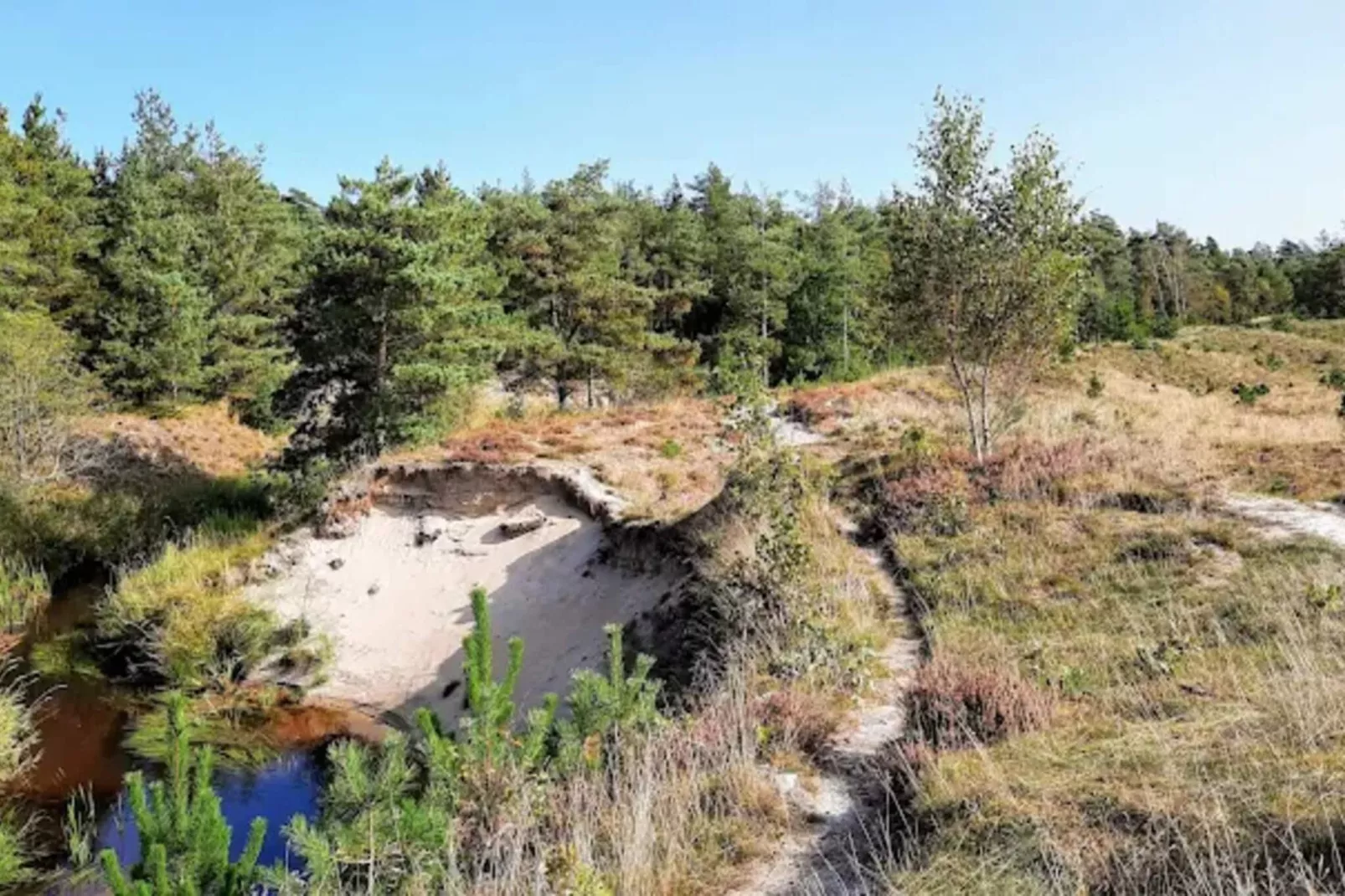 5 person holiday home in Ålbæk-By Traum-Not tagged