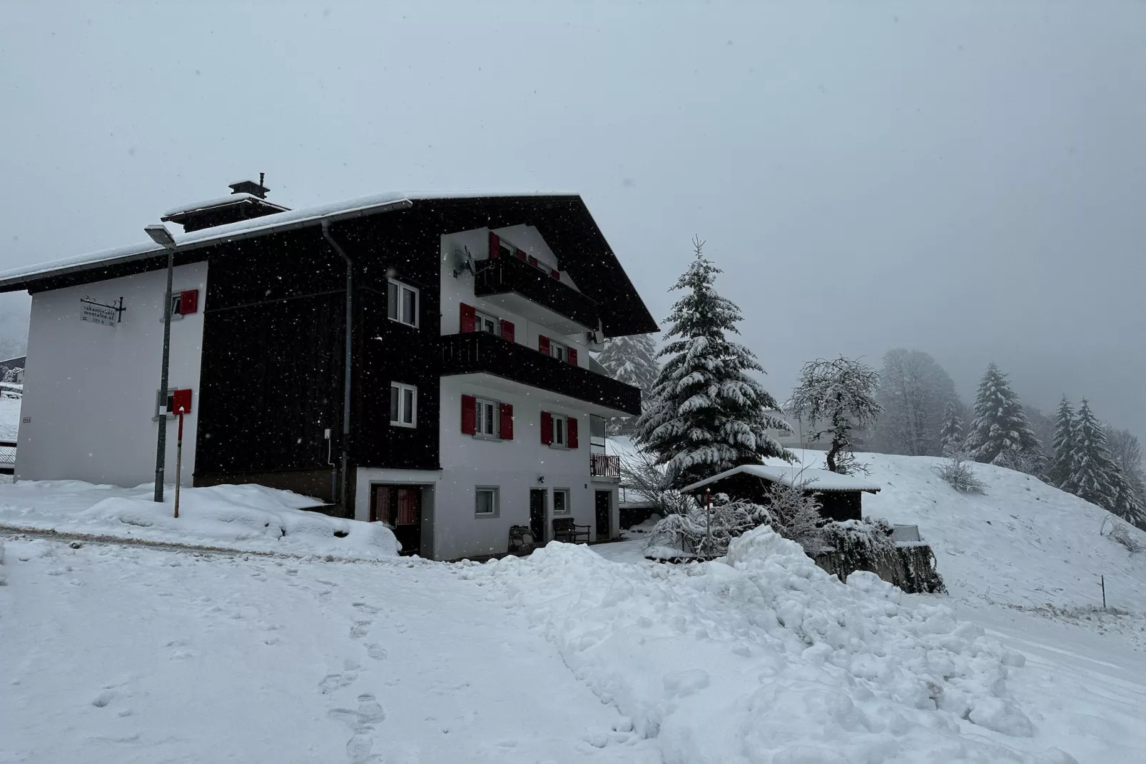 Vakantiehuis Montafon-Exterior in winter