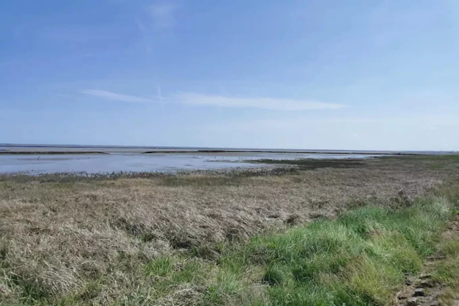 Bungalow Nordseebrise-Areas within 1km in summer