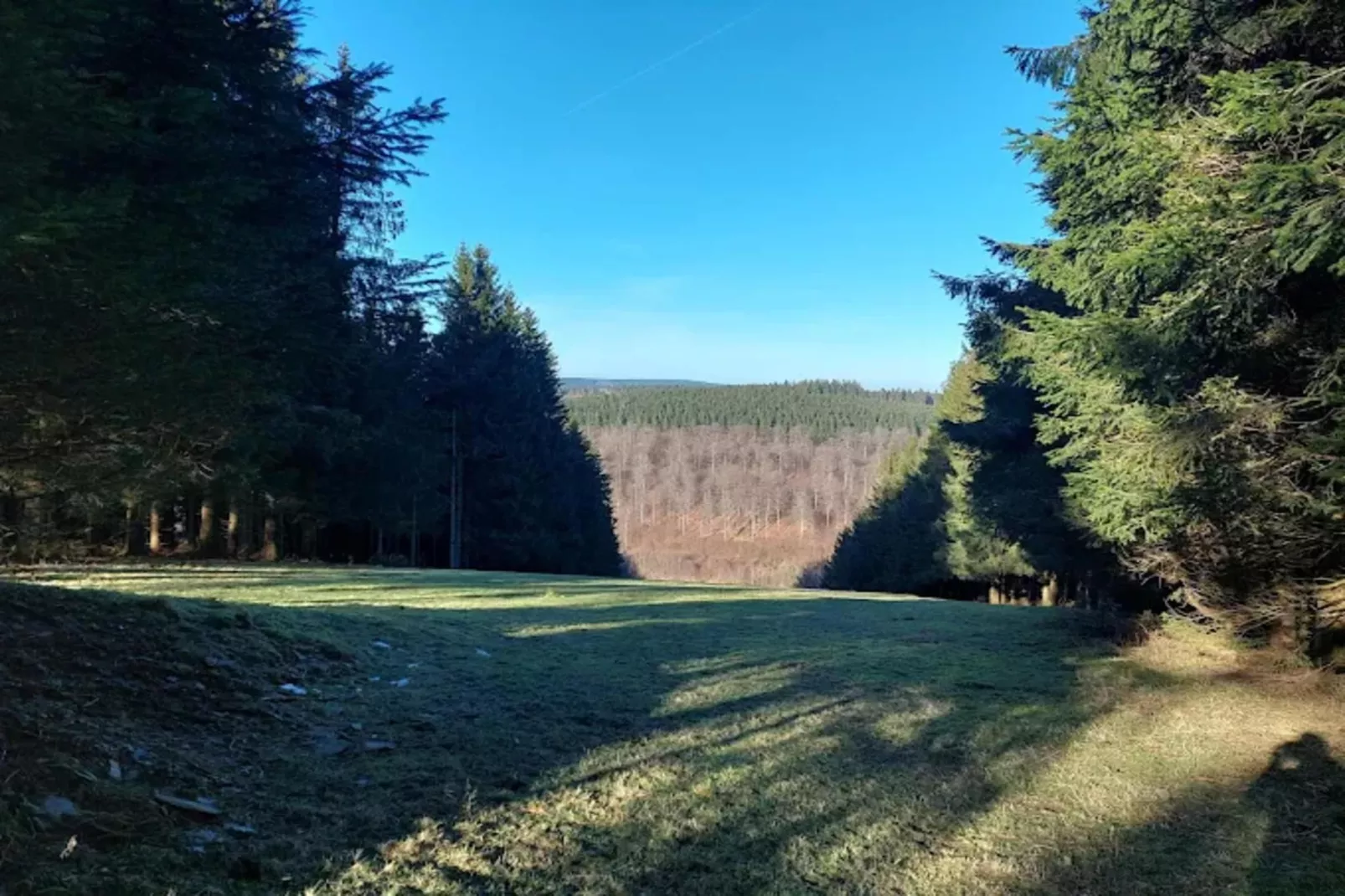 Appartement Lenneblick 2 - Altastenberg-Areas within 1km in summer