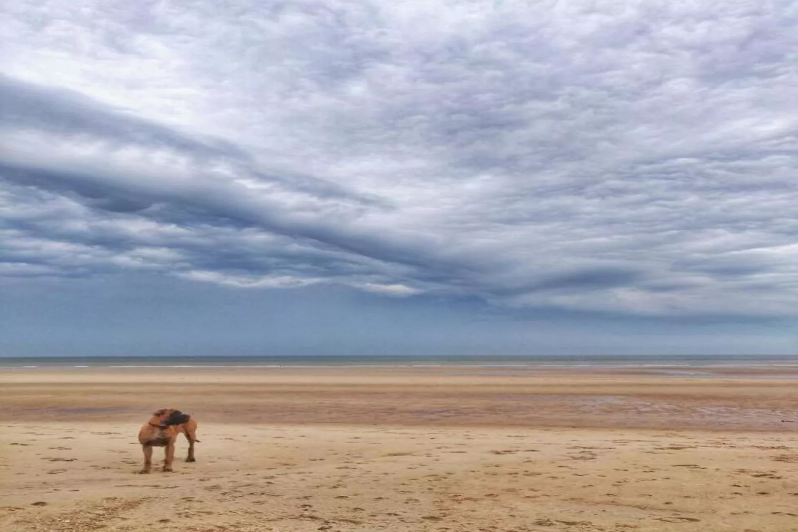 Rosalie 0202-Gebiete Sommer 20 km