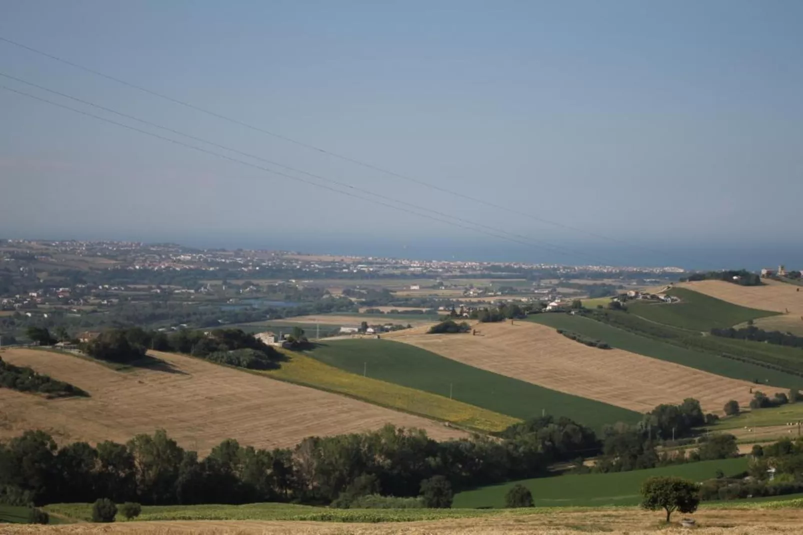 Pepe-Areas within 20km in summer