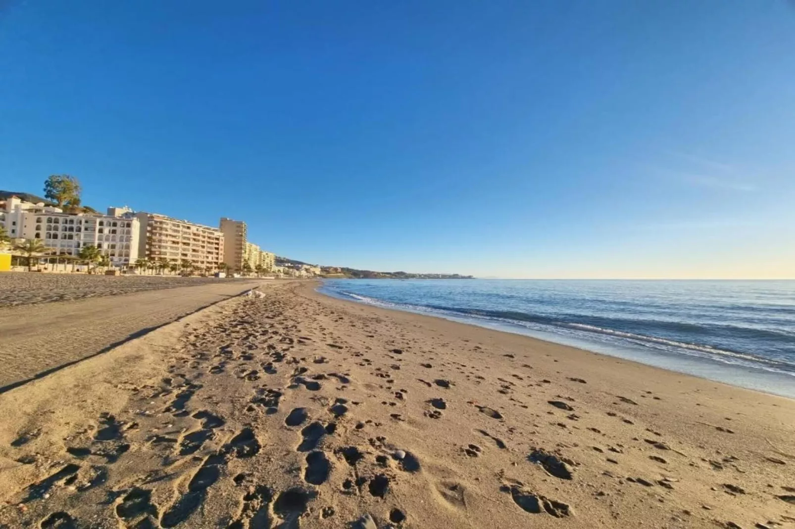 Bella Vista-Areas within 1km in summer