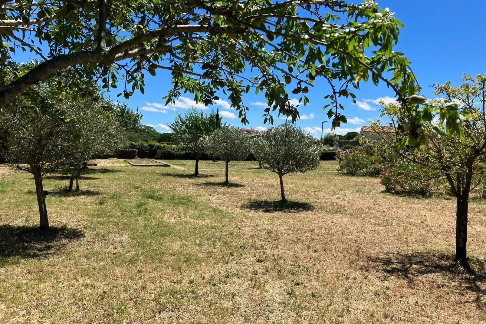 Villa les Hirondelles-Jardins en été