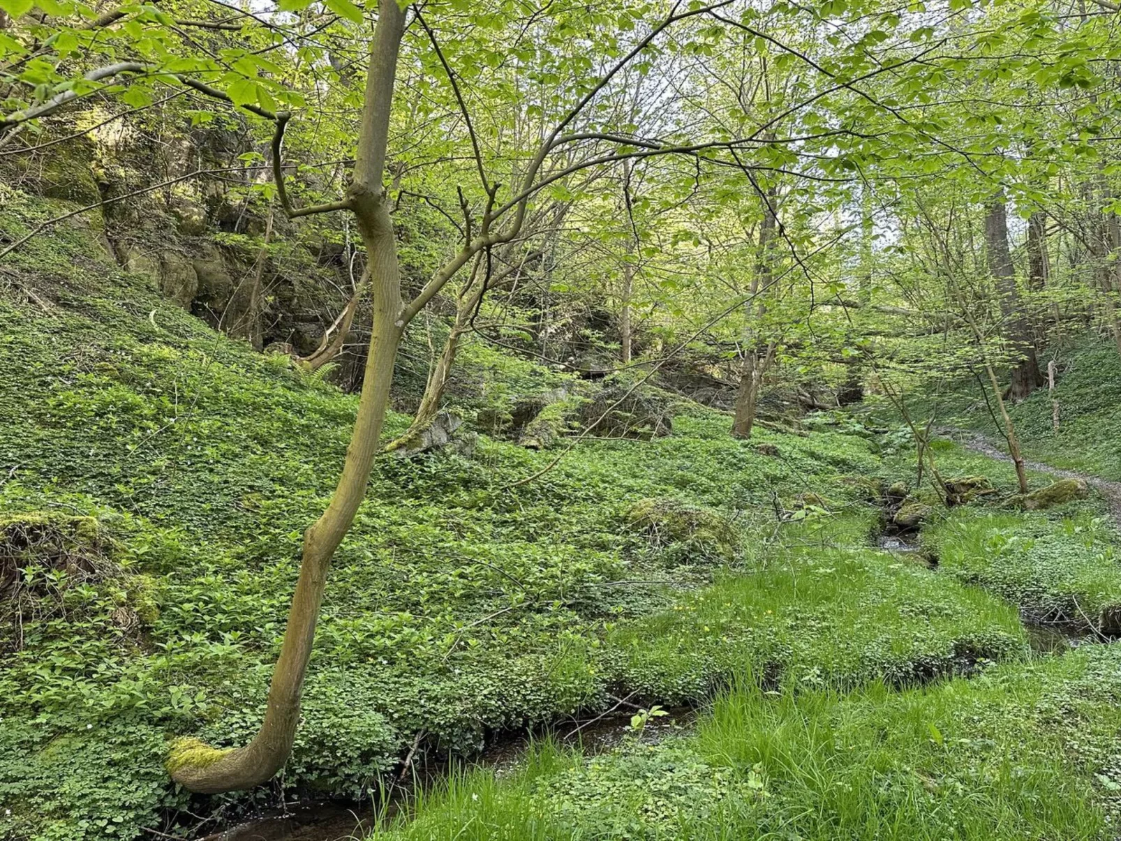 "Makrina" - 150m from the sea-Draußen