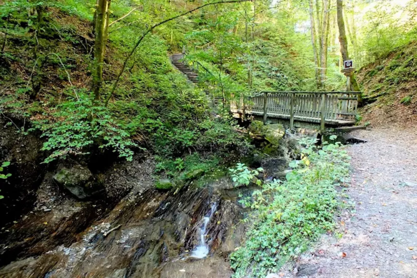 Kleine Auszeit Winterberg-Areas within 1km in summer
