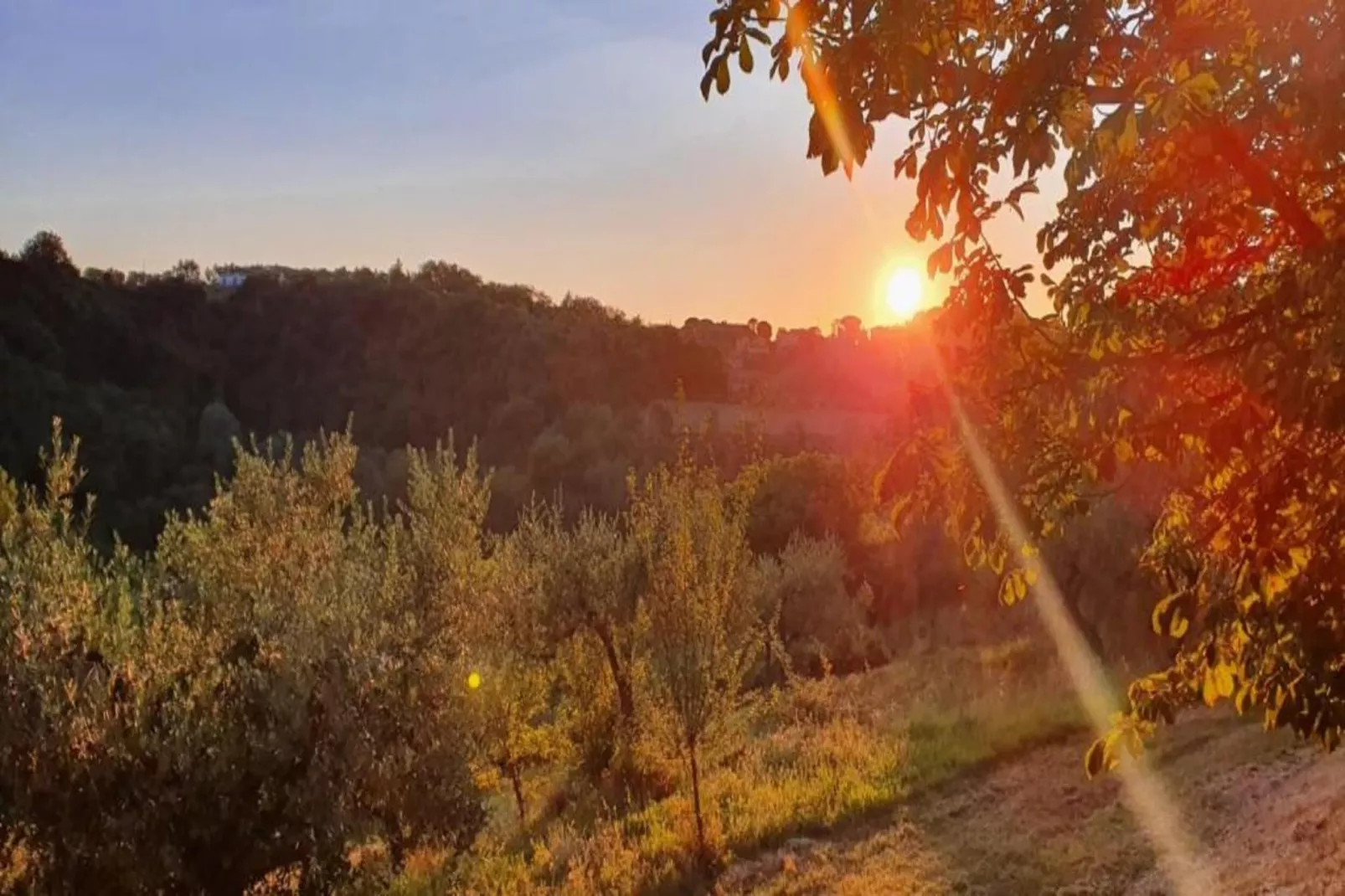 Giuditta Sei-Areas within 5km in summer