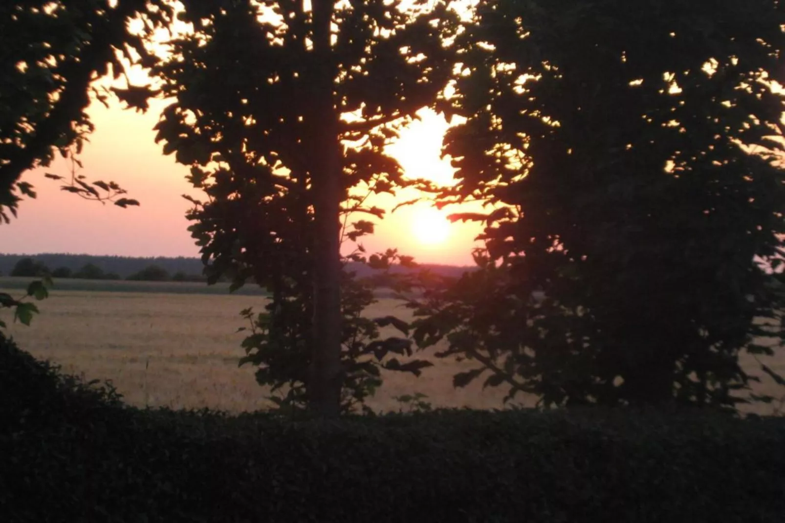 Apartment Eilenburg-Gebiete Sommer 20 km